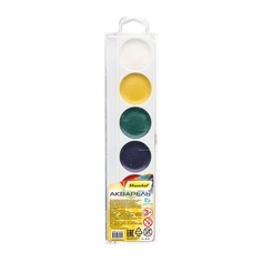 Упаковка красок акварельных SILWERHOF Солнечная коллекция 961135-06, 6 цветов, без кисти, пластиковый пенал 60 шт./кор.