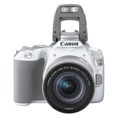 Зеркальный фотоаппарат Canon EOS 250D kit ( EF-S 18-55mm f/1:4-5.6 IS STM), белый