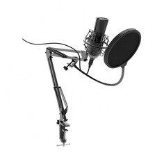 Микрофон Ritmix RDM-180, черный [80000153]