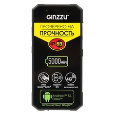 Смартфон GINZZU RS9602 черный