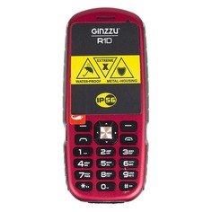 Мобильный телефон GINZZU R1D, красный