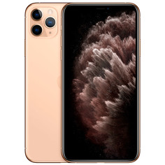 Смартфон Apple iPhone 11 Pro Max 64GB Gold (MWHG2RU/A)
