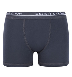 Трусы Белый Слон, цвет: серый