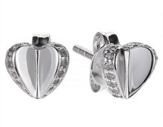 Серебряные серьги Серьги Fossil JFS00423040