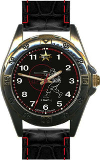 Мужские часы в коллекции Профессионал Мужские часы Спецназ C2011281-2035-04