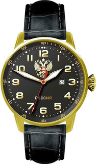 Мужские часы в коллекции Профессионал Мужские часы Спецназ C2879337-2115-05