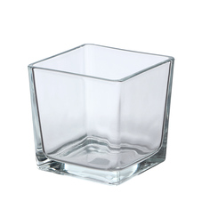 Ваза Hakbijl glass cubic 12x12x12см