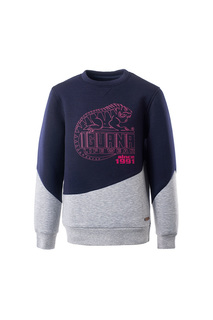 sweatshirt Iguana Lifewear