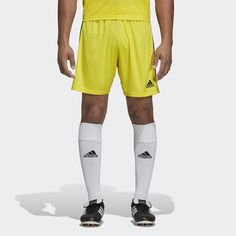 Шорты Tastigo 19 adidas Performance
