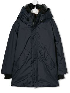 AI Riders on the Storm парка с помпоном