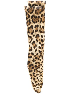 Dolce & Gabbana носки с леопардовым принтом