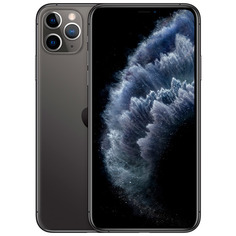 Смартфон Apple iPhone 11 Pro Max 64GB Space Grey (MWHD2RU/A)