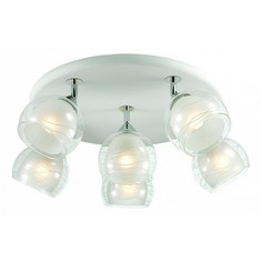 Спот Saragossa OML-28317-06 Omnilux