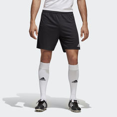 Шорты Parma 16 adidas Performance