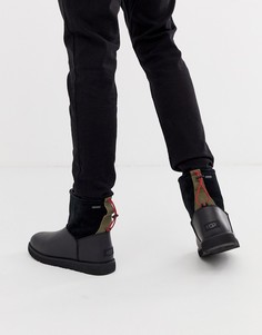 Черные классические ботинки Ugg Australia
