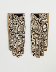 Кожаные перчатки для сенсорных экранов со змеиным рисунком ASOS DESIGN