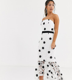 Кружевное платье бандо с контрастной кромкой Chi Chi London Petite