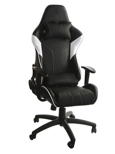 Компьютерное кресло ThunderX3 EC3 TX3-EC3BW/EC3-Black-White AIR