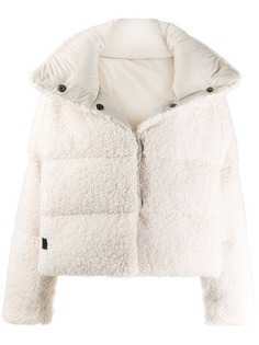 Bacon Bear coat