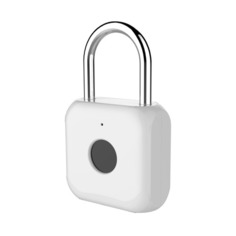 Умный замок Digma SmartLock P1, навесной, белый