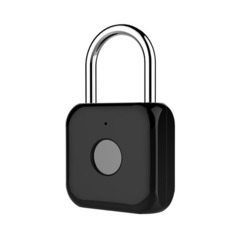 Умный замок Digma SmartLock P1, навесной, черный