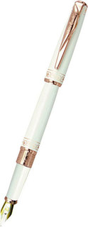 Перьевая ручка Ручки Pierre Cardin PCA1063FP