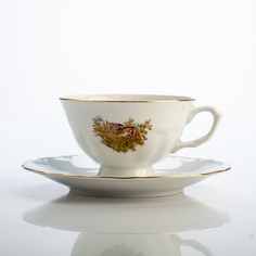 Категория: Чайные чашки Porcelaine Czech Gold Hands