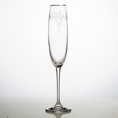 Набор фужеров Crystalite Bohemia Fulica 250 мл 6 шт