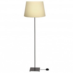 Торшер FLL.301.01.01.BL+CO2.T002 33 идеи