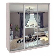 Шкаф-купе Румер СШК 1.210.70-13.13.13 Triya