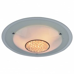 Накладной светильник Giselle A4833PL-3CC Arte Lamp