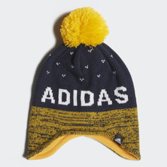 Шапка Graphic Peruvian adidas Performance