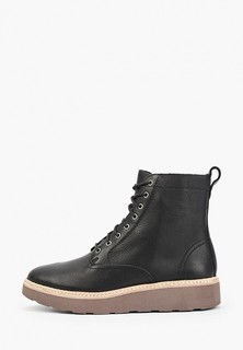 Ботинки Clarks Trace Pine