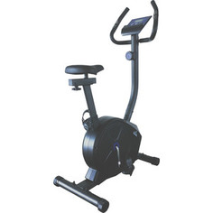 Велотренажер Royal Fitness RFIB-11 RF-11