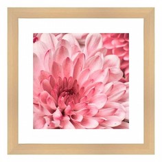Картина (40х40 см) Розовые цветы BE-103-180 Ekoramka