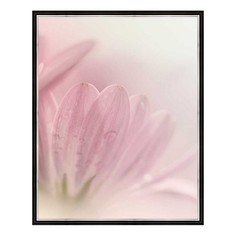 Картина (40х50 см) Нежно-розовый цветок BE-103-262 Ekoramka