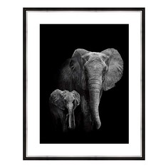 Картина (40х50 см) Слон и слоненок BE-103-319 Ekoramka
