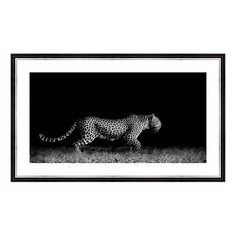 Картина (50х30 см) Леопард BE-103-329 Ekoramka