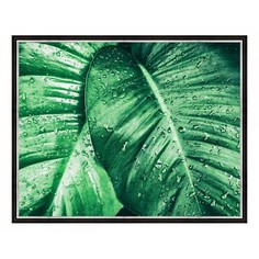 Картина (50х40 см) Зеленые листья BE-103-265 Ekoramka