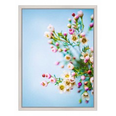 Картина (30х40 см) Нежные цветы BE-103-235 Ekoramka