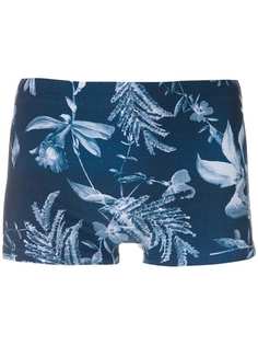 Lygia & Nanny плавки Tijuca с принтом