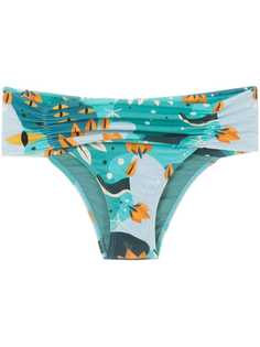 Lygia & Nanny плавки бикини Jasper с принтом