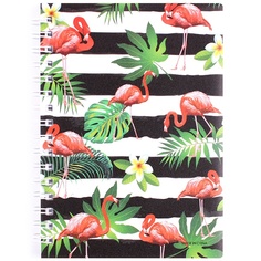 Блокнот линейка 80л Darvish «Фламинго»
