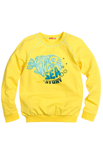 Джемпер Pelican