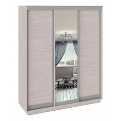 Шкаф-купе Румер СШК 1.180.60-11.13.11 Triya