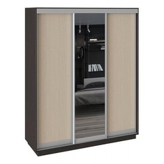 Шкаф-купе Румер СШК 1.180.60-11.13.11 Triya