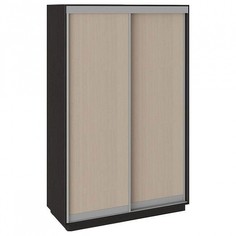 Шкаф-купе Румер Triya