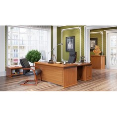 Гарнитур для руководителя Raut Skyland