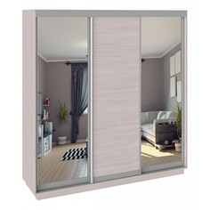 Шкаф-купе Румер СШК 1.210.70-13.11.13 Triya