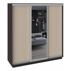 Шкаф-купе Румер СШК 1.210.70-11.13.11 Triya